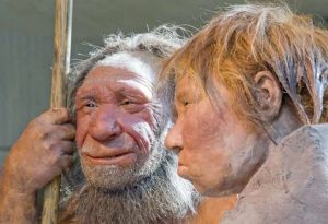 Sie wirkt wie ein Mensch – doch die genetische Analyse enthüllt Überraschendes ➤ Globenow.info