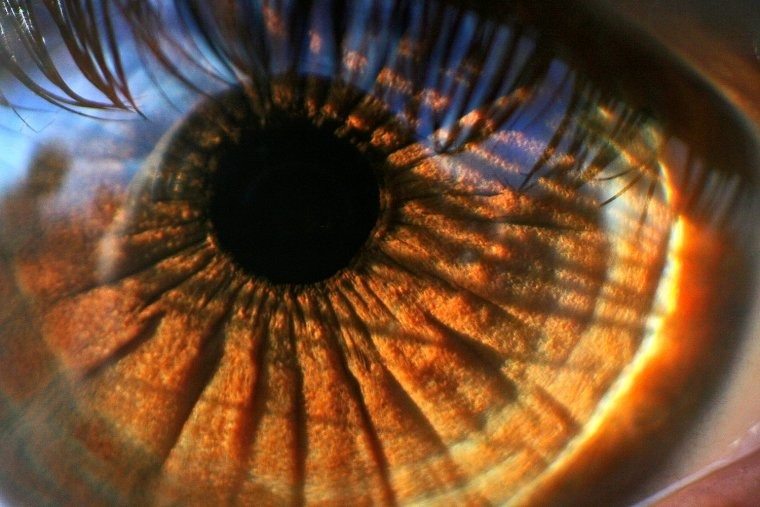 Sprechende Augen: Entdecken Sie, was Ihre Augenfarbe verrät