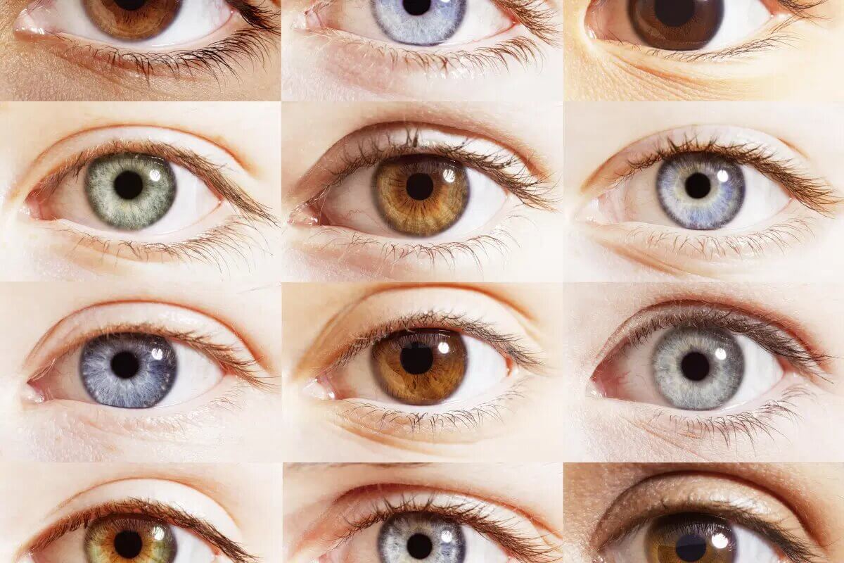 Sprechende Augen: Entdecken Sie, was Ihre Augenfarbe verrät