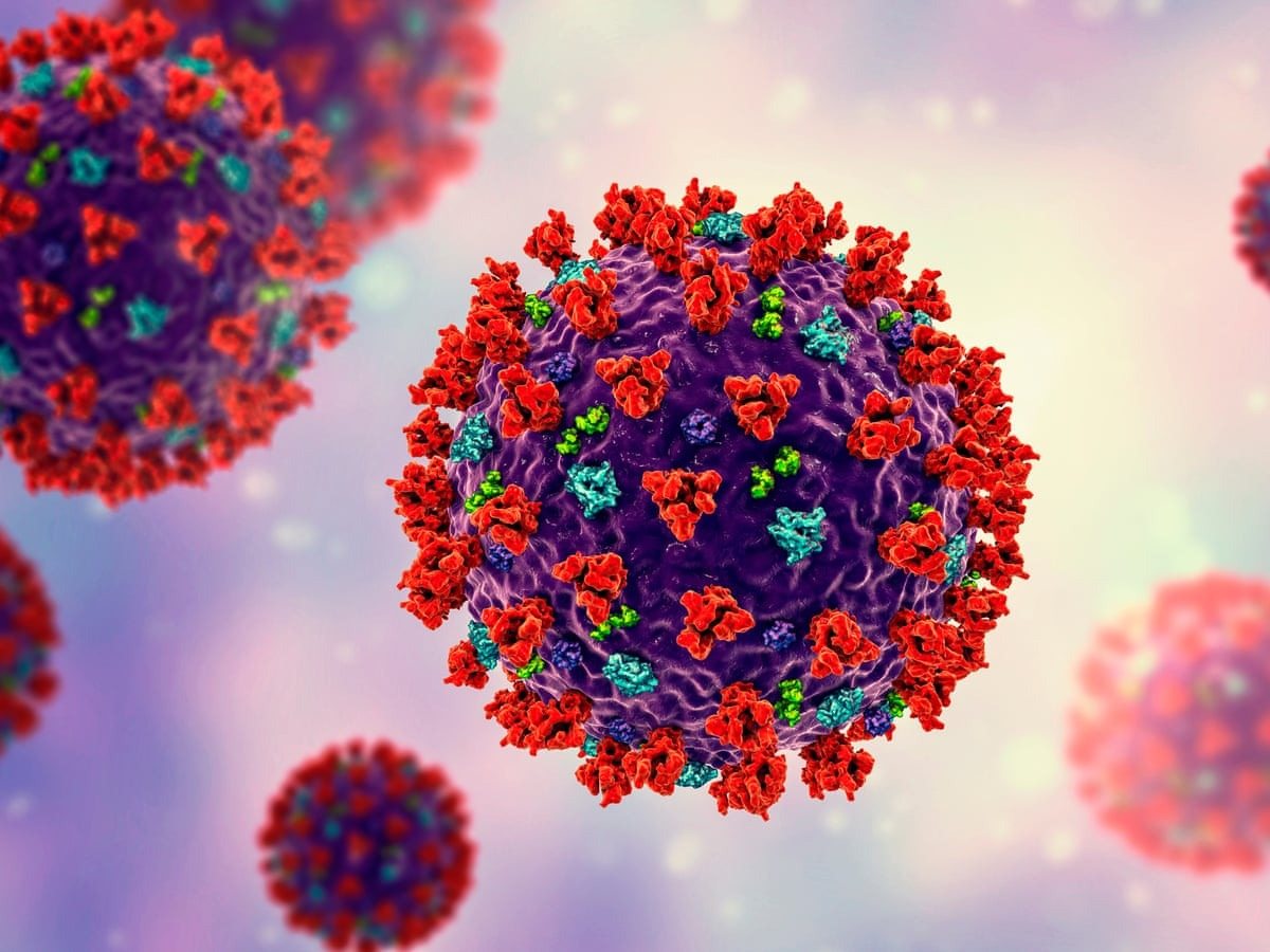 Wissenschaftler schlagen Alarm: Was passiert nach einer COVID-19-Infektion mit dem Gehirn?