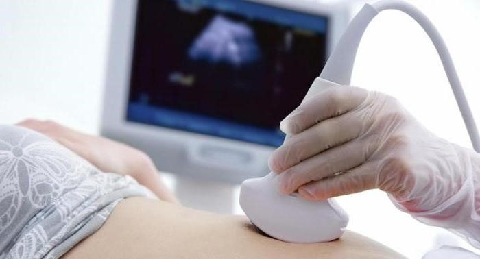 Pensó que su embarazo había terminado. Pero tres semanas después, los médicos descubrieron algo inimaginable ➤ Globenow.info
