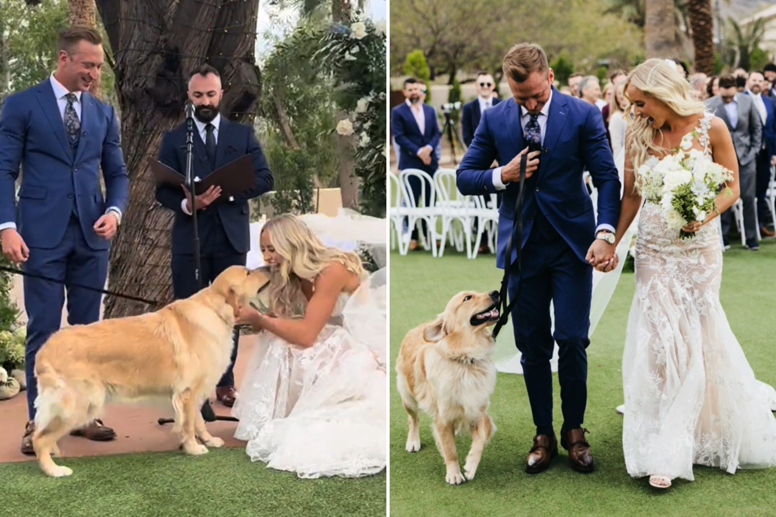 Mein Hochzeitstag wurde durch die dringende Warnung meines Hundes völlig auf den Kopf gestellt.