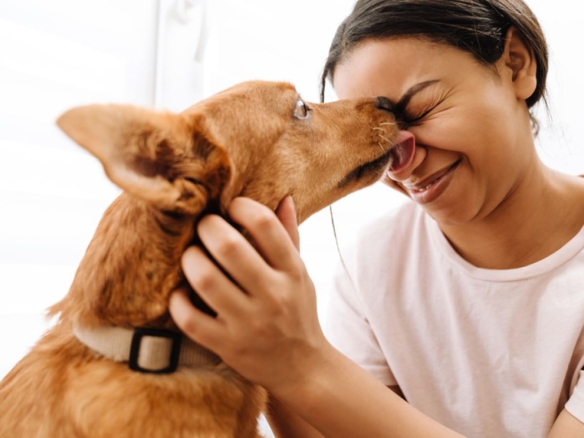 Los lametones de perro no son besos. Esto es lo que tu perro realmente quiere decir cuando lame…
