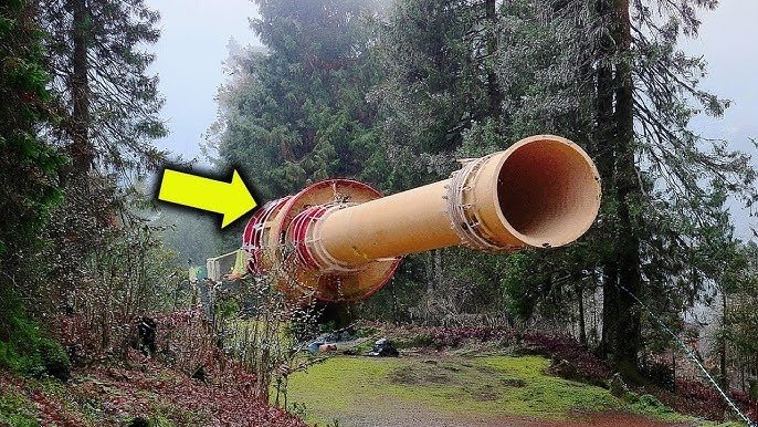 Ein Tourist entdeckte ein seltsames, riesiges Objekt im Wald – die Wahrheit schockierte selbst Experten ➤ Globenow.info