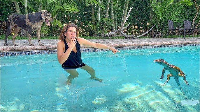 Eine Mutter hört ein Platschen im Pool und entdeckt ein riesiges Tier darin