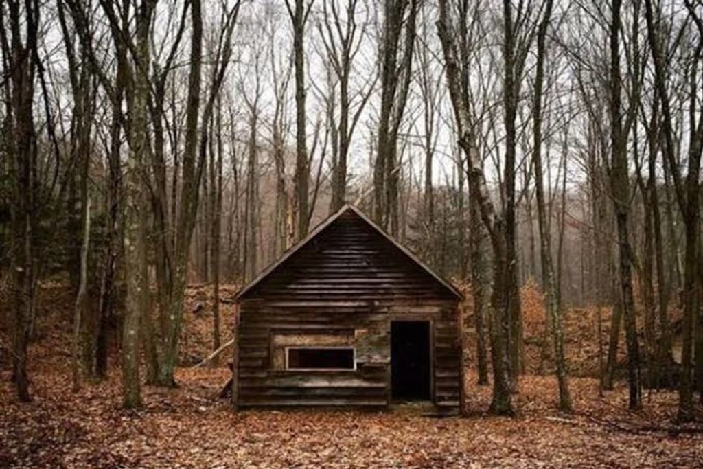 Sie nahmen an, es handle sich lediglich um eine vergessene Hütte tief im Wald – bis sie darunter etwas weitaus Beunruhigenderes entdeckten