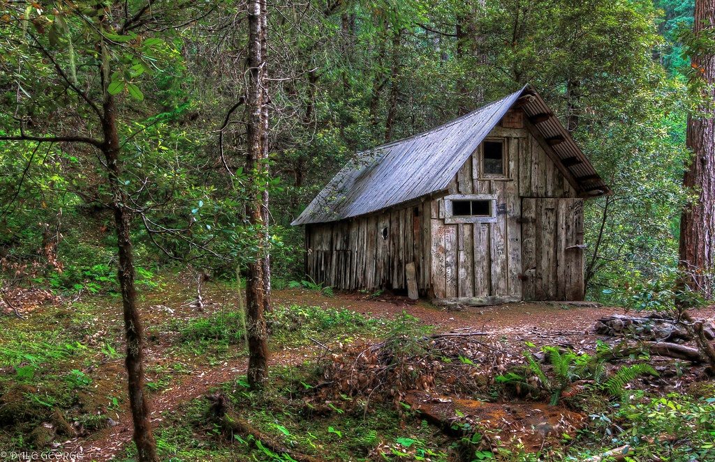 Sie nahmen an, es handle sich lediglich um eine vergessene Hütte tief im Wald – bis sie darunter etwas weitaus Beunruhigenderes entdeckten