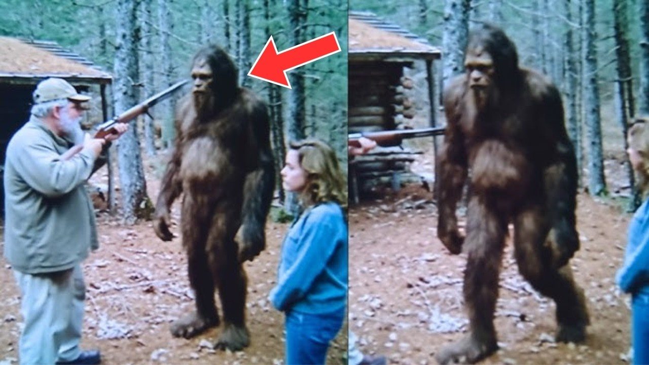 Ein Jäger stieß auf „Bigfoot“ – die DNA-Analyse verblüffte die Wissenschaftler ➤ Globenow.info