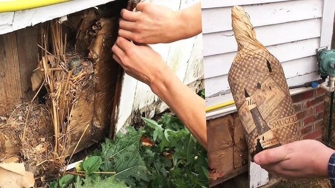 Este hombre transformó una antigua cuba de whisky en una vivienda única: descubre esta extraordinaria casa ➤ Globenow.info
