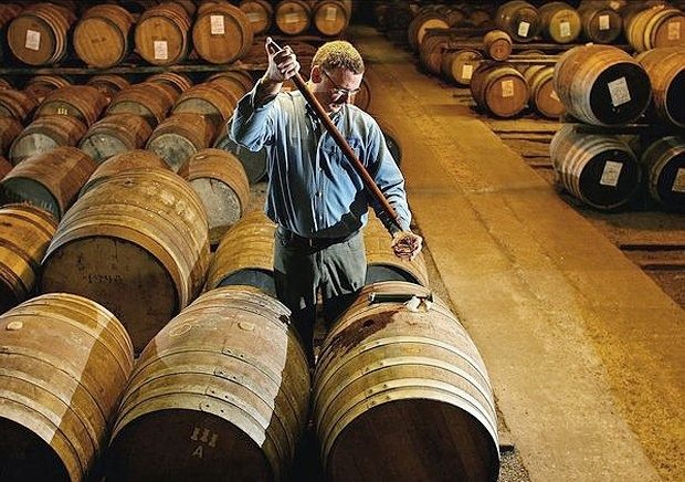 Este hombre transformó una antigua cuba de whisky en una vivienda única: descubre esta extraordinaria casa