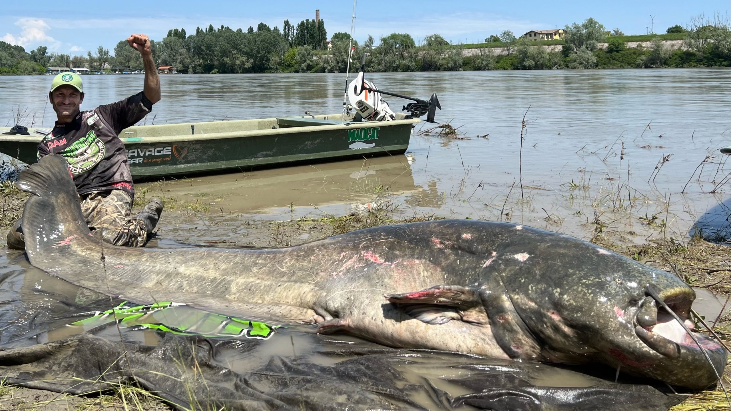 Ein gigantischer, 2,9 Meter langer Wels ist der größte jemals gefangene ➤ Globenow.info