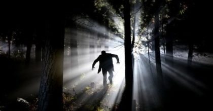Ihr Kätzchen wurde von etwas entführt, das im Wald lauerte – die Nachbarn ahnten nichts von der Gefahr, die von ihm ausging