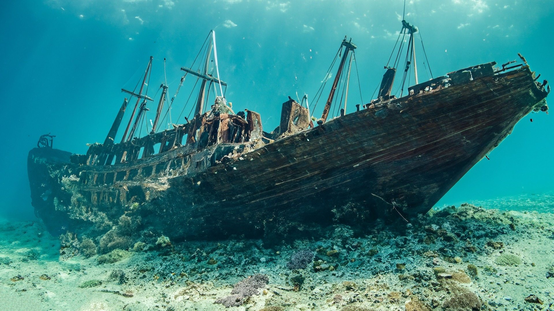 Auf dem Grund des Schwarzen Meeres wurde ein perfekt erhaltenes, über 2.400 Jahre altes Schiff entdeckt.